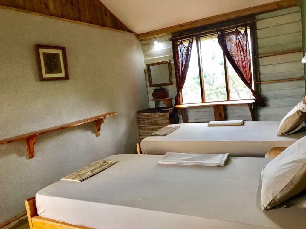 Miseni Retreat Villa Saadani Luaran gambar